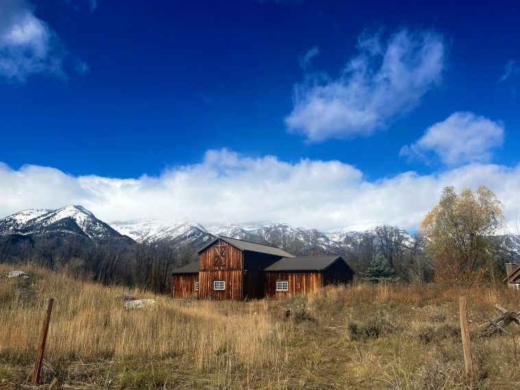 a small wooden house in a field