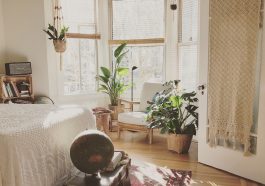 brown wooden framed white padded chair in between green indoor leaf plants inside bedroom