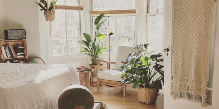 brown wooden framed white padded chair in between green indoor leaf plants inside bedroom