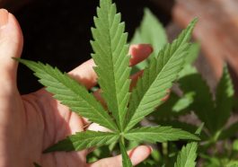 screenshot-2023-12-15-at-17-00-44