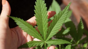 screenshot-2023-12-15-at-17-00-44