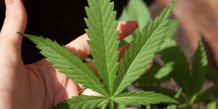 screenshot-2023-12-15-at-17-00-44