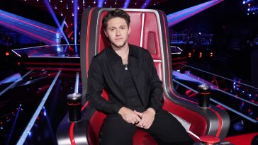 niall-the-voice