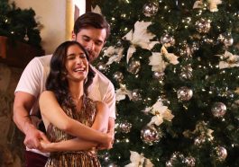 holiday in the vineyards